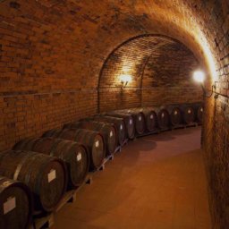 Chianti-wine-tours