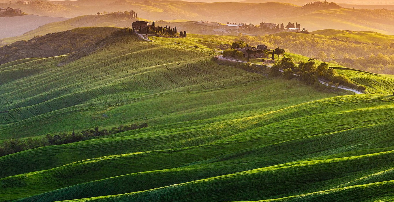 Chianti Day Tour