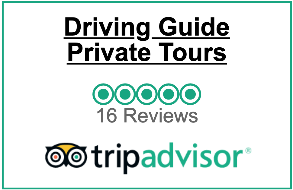 tripadvisor-reviews