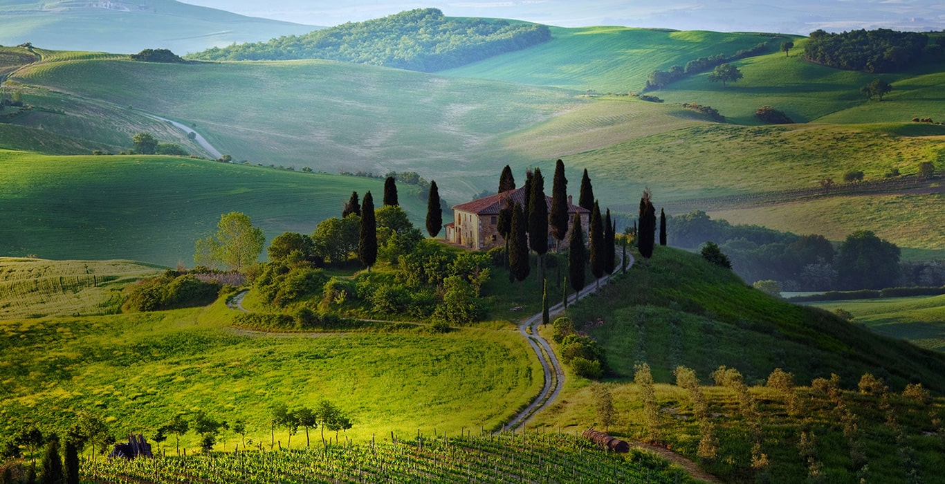 Tuscany Wine Tasting Tour